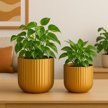 Metal Planters